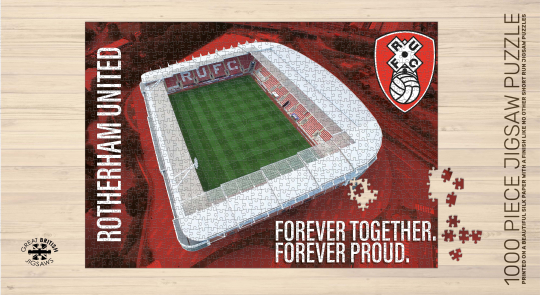 1000pc Stadium Jigsaw