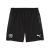 25/26 Adt TrainingShorts